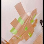 レス10番の画像1