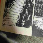 レス14番の画像1