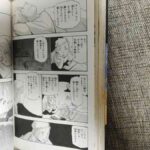 レス6番の画像1