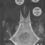 レス24番の画像1