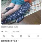 レス339番の画像1