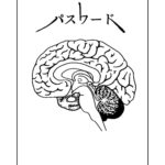 レス8番の画像4