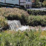 レス31番の画像1