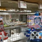 レス29番の画像1