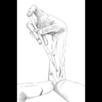 レス1番の画像1