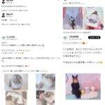 レス7番の画像3