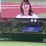 レス5番の画像1