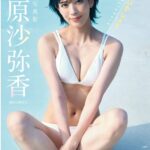 レス8番の画像1