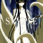 レス37番の画像2