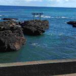 レス31番の画像1