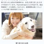 レス2番の画像6