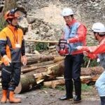 レス12番の画像1