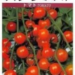 レス100番の画像1