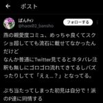 レス1番の画像6