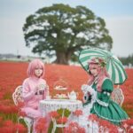 レス22番の画像1