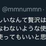 レス13番の画像1