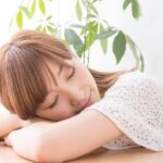 レス25番の画像1