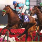 レス16番の画像1