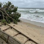 レス2番の画像2