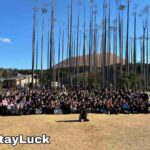 レス5番の画像1