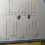 レス1番の画像3