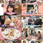 レス27番の画像1