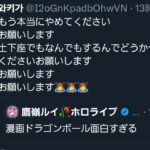 レス49番の画像1