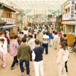 レス9番の画像1