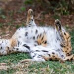 レス20番の画像2