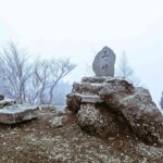 レス13番の画像1