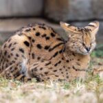 レス20番の画像1