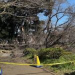 レス2番の画像3