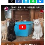 レス140番の画像1