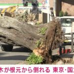 レス1番の画像3