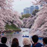 レス20番の画像1