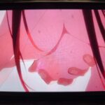 レス1番の画像4