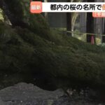 レス2番の画像1