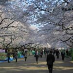 レス63番の画像1