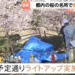 レス2番の画像2