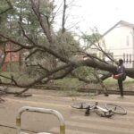 レス2番の画像4