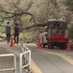 レス2番の画像5