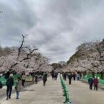 レス63番の画像2