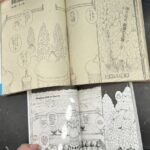 レス1番の画像2