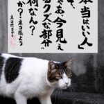 レス3番の画像1