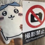 レス1番のリンク先のサムネイル画像