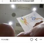 レス11番の画像1