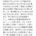 レス21番の画像3
