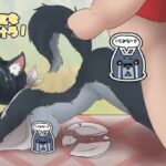 レス23番の画像1