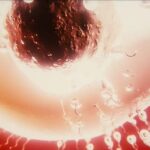 レス17番の画像5