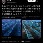 レス1番の画像4